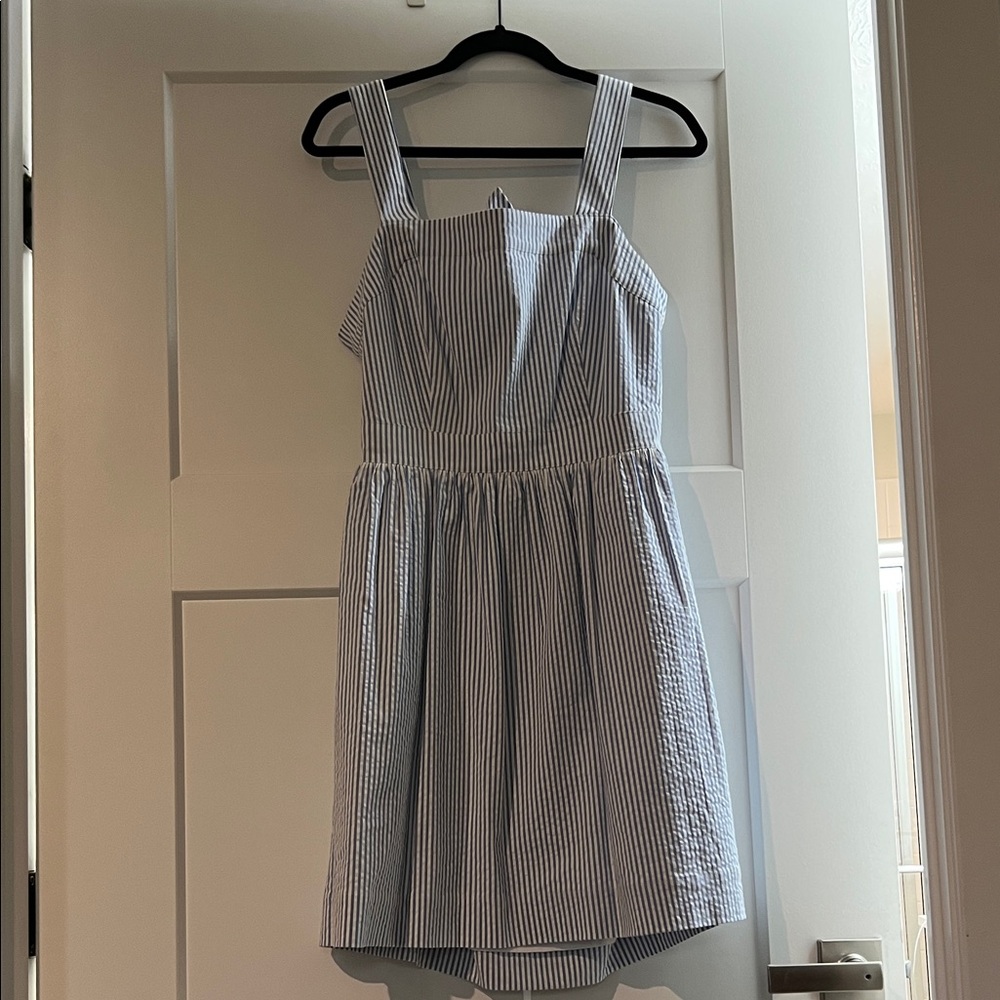 J. Crew Blue and White Striped dress